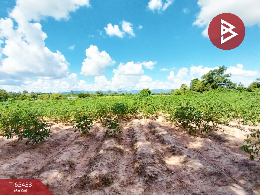 For SaleLandNong Bua Lam Phu : Land for sale, area 16 rai 1 ngan 49.8 square wah, Non Sang, Nong Bua Lam Phu, beautiful location, next to 2 roads