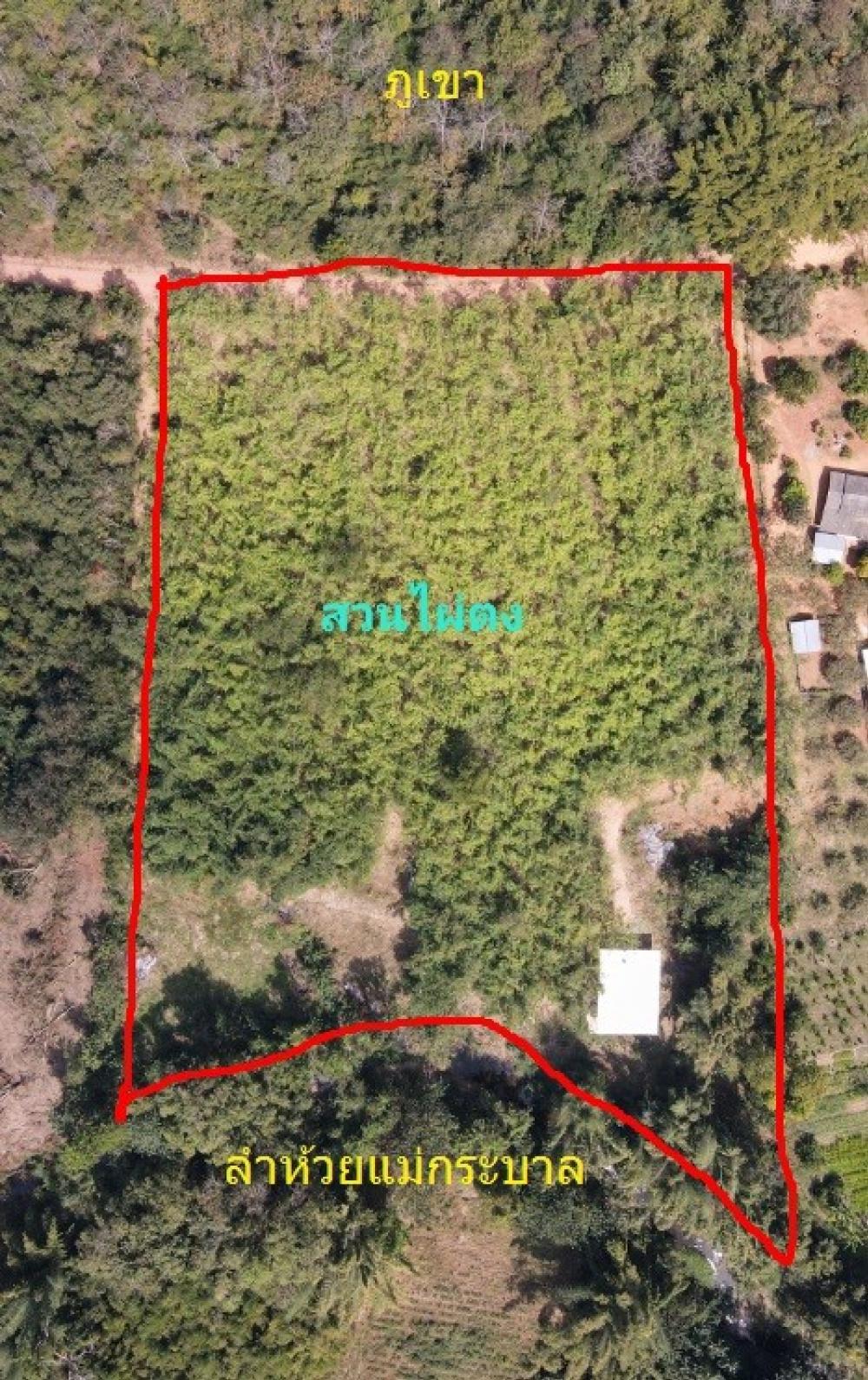 For SaleLandKanchanaburi : Land for sale 11 rai 1 ngan 50.75 sq m with 1 house, Sai Yok District, Kanchanaburi.
