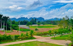 For SaleLandKrabi : Land with Golf Park business in krabi just  6 minutes from Krabi airport