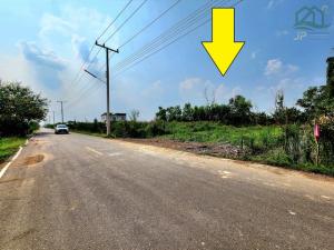 ขายที่ดินปทุมธานี รังสิต ธรรมศาสตร์ : ขายที่ดินหนองเสือ คลอง11 ขนาด 200 ตรว ติดถนนลาดยาง น้ำไฟครบ เหมาะสร้างบ้าน ทำเกษตรพอเพียง ทำโกดัง