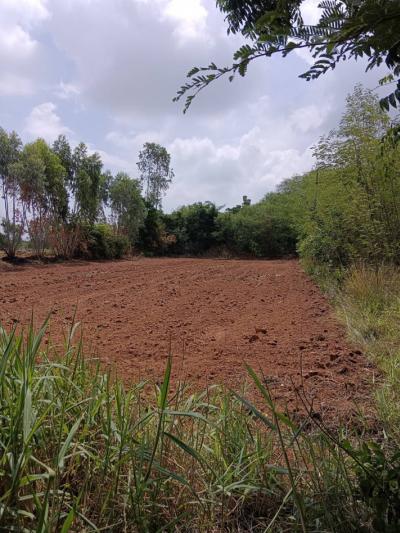 For SaleLandLop Buri : Land for sale, area 1 rai, Phatthana Nikhom District, Lop Buri Province (near Khao Phraya Doen Thong), suitable for farming.