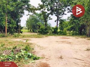 For SaleLandPhichit : Land for sale, area 58 square wah, Wachirabaramee, Phichit, good location, next to the road