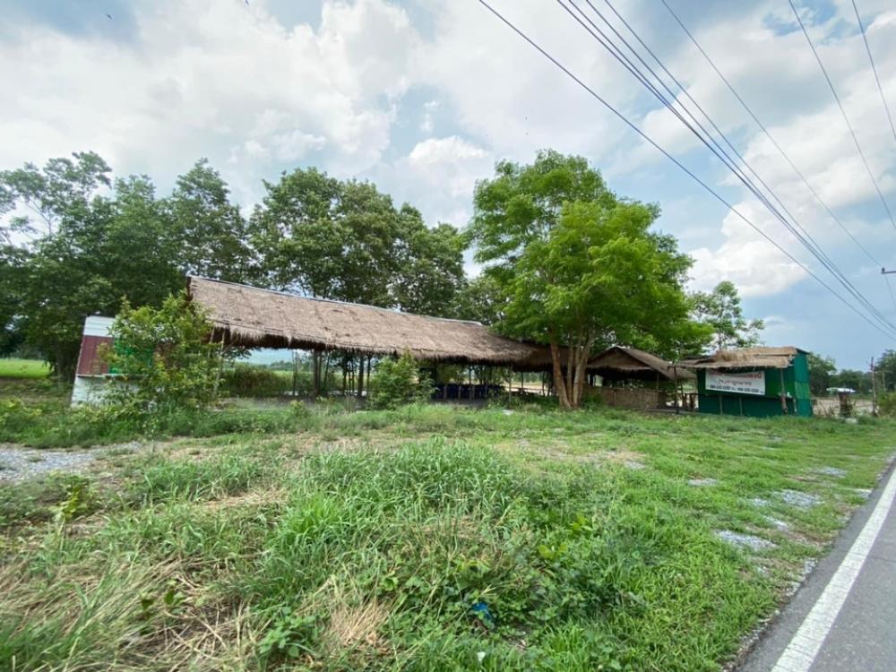 ให้เช่าที่ดินสระบุรี : ให้เช่าที่ดินสำหรับทำร้านอาหาร/คาเฟ่ 1 ไร่