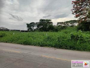 For SaleLandYothinpattana,CDC : Land for sale, Soi Nawamin 111 size 6 rai Easy access to many roads. such as soi Yothin Phatthana, along the expressway, Pho Kaew Nawamin, Ladprao, Chic Republic, The Crystal Park, etc. Price 140,000 baht/sq.wa.