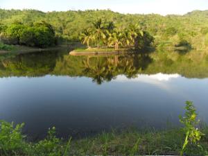 For SaleLandKanchanaburi : 64 Rai or 25-acre Laplair Forest Lakes