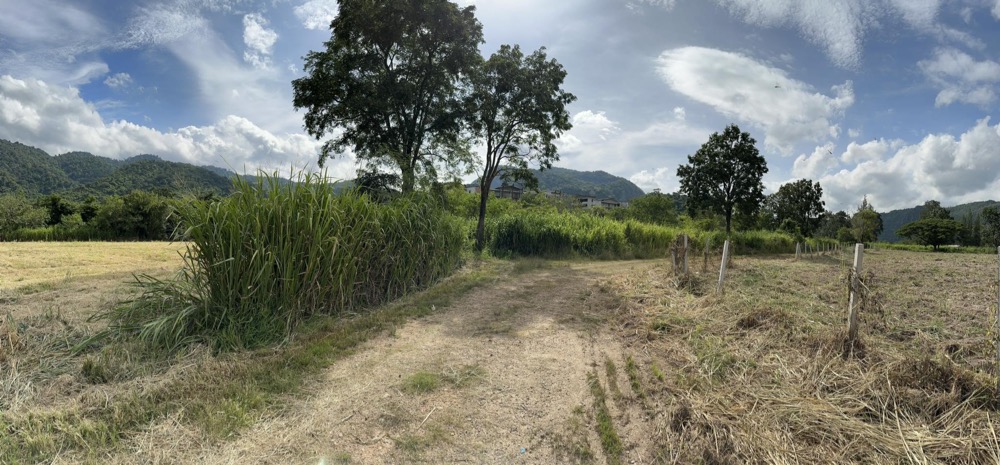 For SaleLandPak Chong KhaoYai : Land for sale in Khao Yai Along Thanarat Road 2.6 km from the entrance to Khao Yai (4 minutes)
