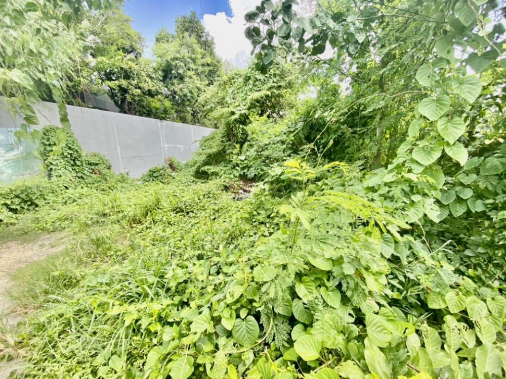 For SaleLandYothinpattana,CDC : ❤️❤️ 2 plots of land for sale, located along the Urgent Ram Inthra, interested line/tel 0859114585 ❤️❤️ Enter Soi Chic Republic (chic republic), Soi Yothin Phatthana (Sakorn 1), near Urgent Ram Inthra, near The Crystal, Ekkamai, Ram Inthra, near Phothalai