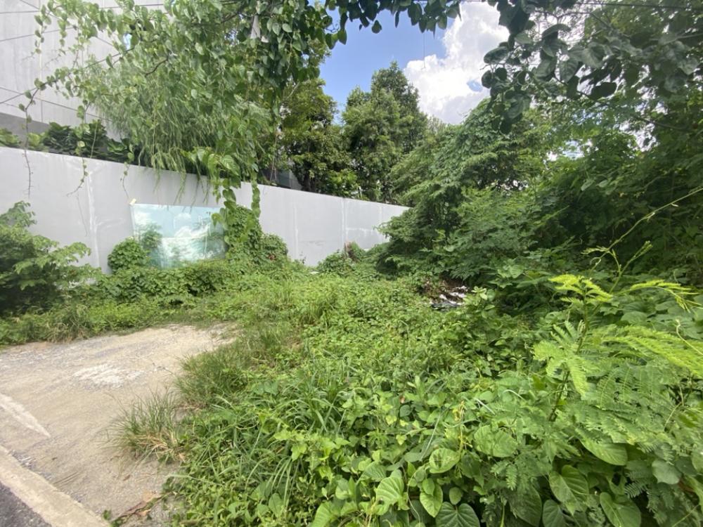 For SaleLandYothinpattana,CDC : ❤️❤️ 2 plots of land for sale, located along Ramintra Express, interested line/tel 0859114585 ❤️❤️ Enter through Chic Republic (chic republic), Yothin 7, Soi Yothin Phatthana (Sakorn 1), near Ramintra Express, near The Crystal, Ekkamai, Ramintra, near Pho