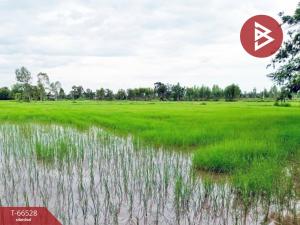 For SaleLandKalasin : Land for sale, 6 rai 2 ngan 56 square wah, Khong Chai, Kalasin, next to an irrigation canal.