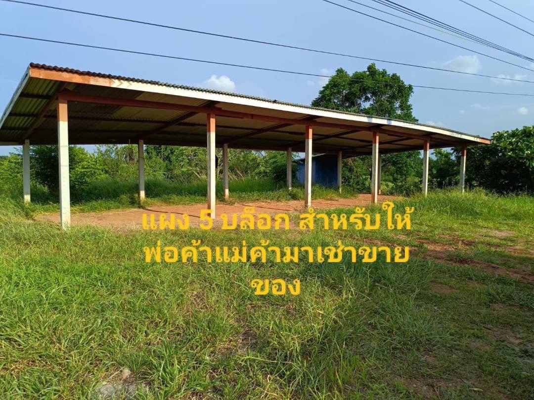 ขายที่ดินชัยภูมิ : ขายด่วน!ที่ดินเนินสูง  ต.กุดน้ำใสอ.จตุรัส ชัยภูมิ ไม่ถูกน้ำท่วม ขนาด 17-3-99ไร่ ราคา 18,000,000 ล้านบาท