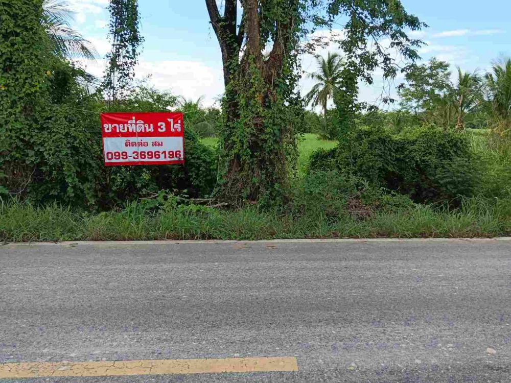 ขายที่ดินกำแพงเพชร : ขายที่ดินเปล่า 3 ไร่ติดถนนดำ ทำเลดี เดินทางสะดวก ต.ทรงธรรม อ.เมือง จ.กำแพงเพชร (เจ้าของขายเอง)