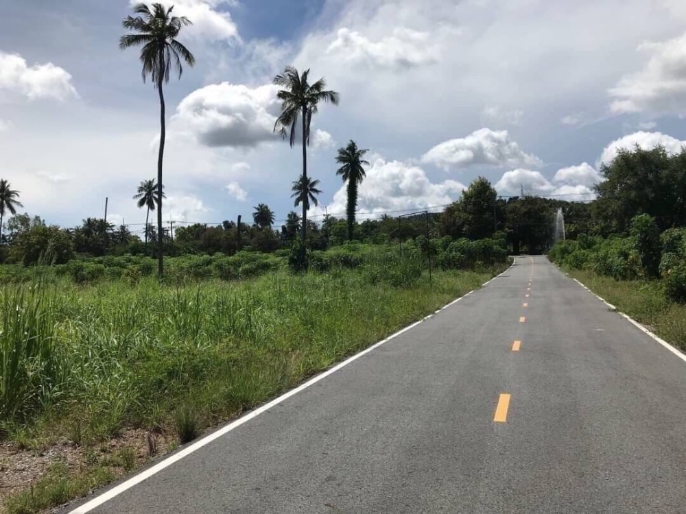 For SaleLandPattaya, Bangsaen, Chonburi : SALE | LAND 190.5 sqw. Pattaya Bangsare Land for sale 190.5 sq m.