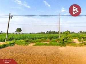 For SaleLandKalasin : Land for sale, area 3 rai 2 ngan 22.8 square wah, Huai Mek, Kalasin