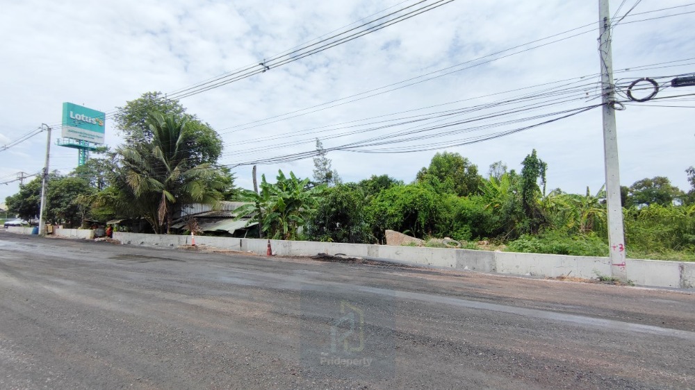 For SaleLandPathum Thani,Rangsit, Thammasat : Land for sale, 56 rai, Lam Luk Ka Khlong 7, Pathum Thani, next to the main road, only 5 km from Lam Luk Ka Road.