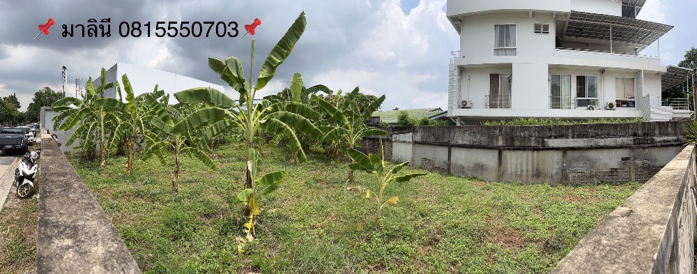 For SaleLandBang Sue, Wong Sawang, Tao Pun : Land for sale in a beautiful location in Prachaniwet 1 area, area 125 wah, near Bong Ma for rent - the owner sells by himself.