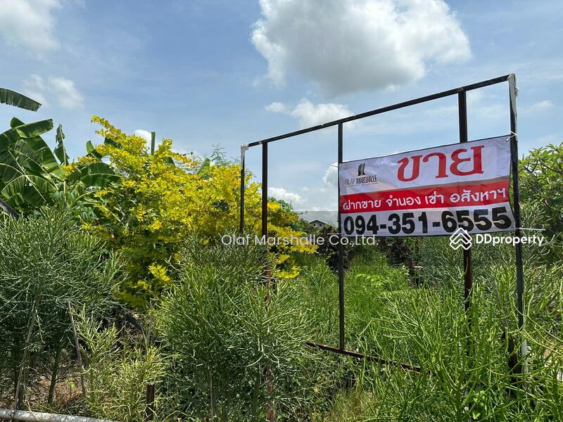 For RentLandBang kae, Phetkasem : Long Term Rental Empty Land, Soi Petchkasem 102/4: Area 1-2-70 Rai