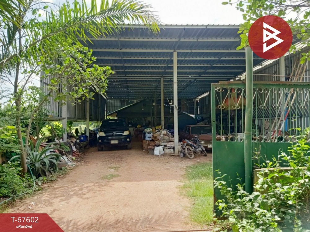 ขายที่ดินพิษณุโลก : ขายที่ดินพร้อมสิ่งปลูกสร้างและกิจการฟาร์มหมู เนื้อที่ 4 ไร่ 92 ตารางวา ดอนทอง พิษณุโลก