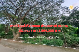 ขายที่ดินเชียงใหม่ : ขายที่ดินเปล่า 101 หลังวัดป่าแดด อำเเภอเมือง เชียงใหม่