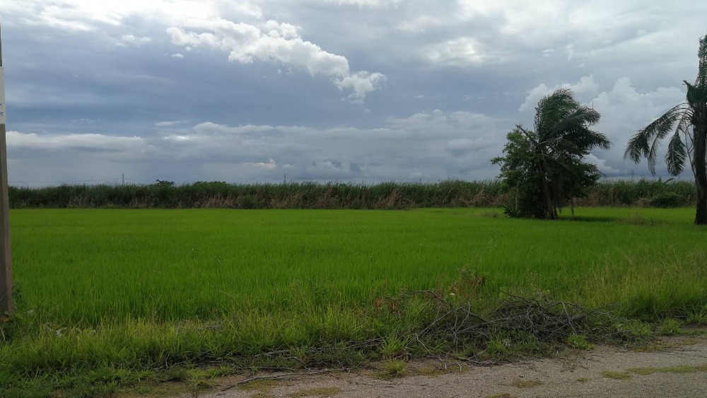 For SaleLandNakhon Pathom : 2 rai of agricultural land for sale, Don Tum, Nakhon Pathom, suitable for a house, agriculture, fishing.