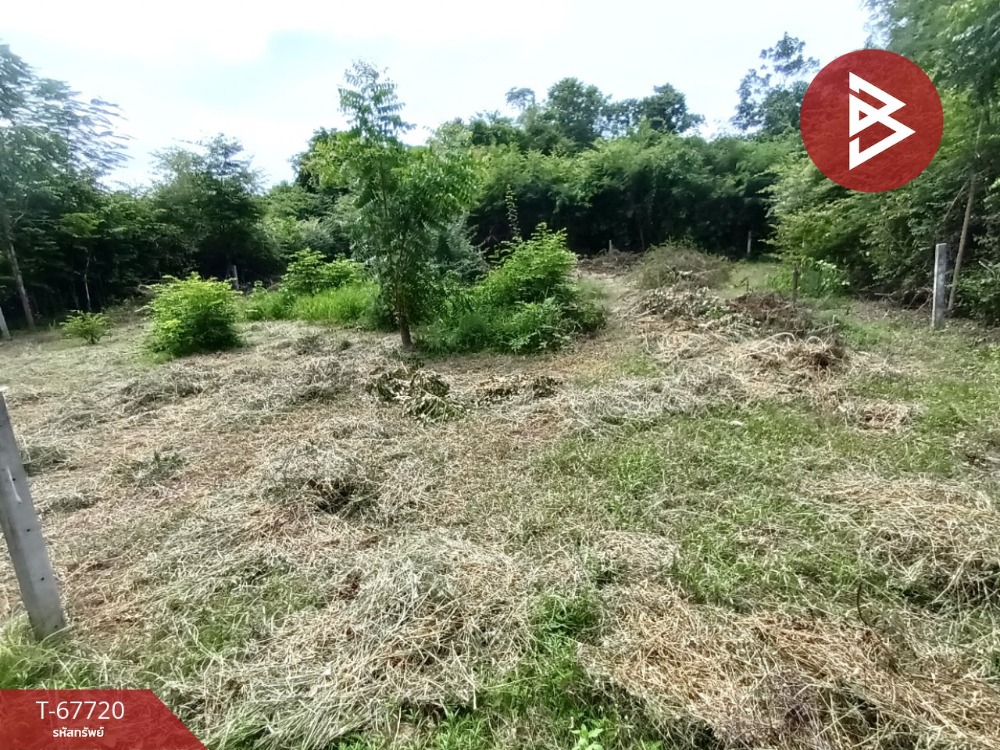 For SaleLandKanchanaburi : Land for sale, area 79.9 square wah, Pak Phraek, Kanchanaburi