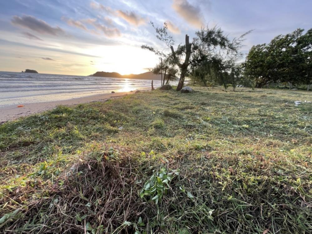 ขายที่ดินจันทบุรี : โอกาสลงทุนที่เหนือกว่า! ที่ดินติดทะเลชายหาดแหลมสิงห์ จังหวัดจันทบุรี พื้นที่กว่า 2 ไร่ 2 งาน 76