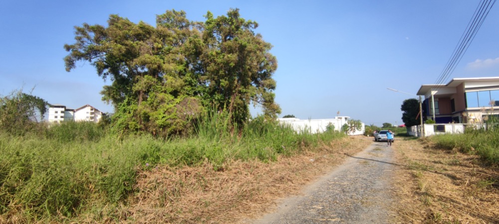For RentLandPathum Thani,Rangsit, Thammasat : Land for rent 367 sq m. near BTS Khu Khot, Lam Luk Ka, Pathum Thani.