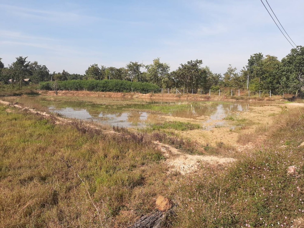 For SaleLandUdon Thani : Land for sale, 100 rai, Udon Thani, Phen District, only 28 million baht.