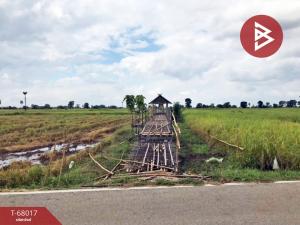 For SaleLandLampang : Empty land for sale, area 5 rai 2 ngan 10 square wah, Mae Tha, Lampang, cheap price.