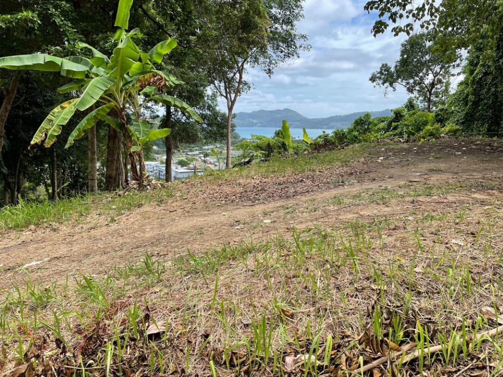 ขายที่ดินภูเก็ต : *ขายที่ดิน Sea View ป่าตอง* Land for Sale in Patong Phuket | 061-625-2555