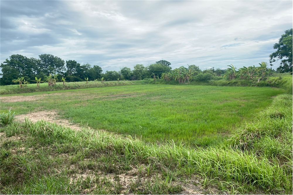 For SaleLandChaiyaphum : Land and house for sale, Chatturat District, Chaiyaphum Province P-NE-CP001 - 920461002-258