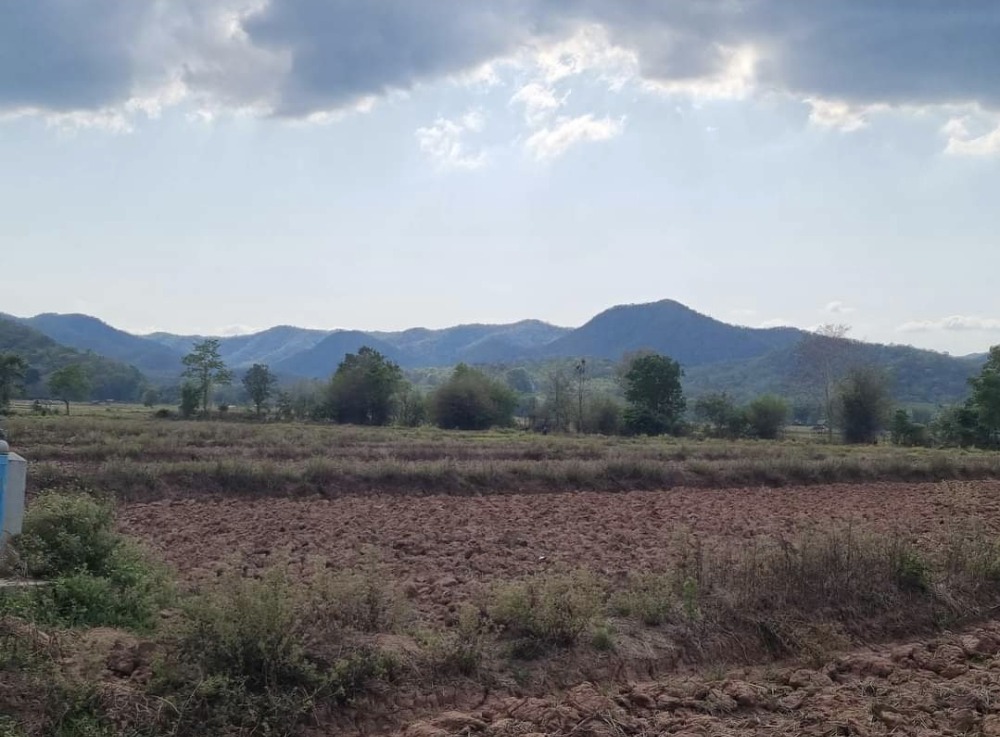 For SaleLandPhayao : Farmland for sale, price lower than appraisal