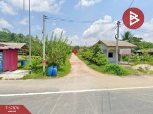 For SaleLandHatyai Songkhla : Empty land for sale, area 168 square meters, Thepha, Songkhla, in a community area.
