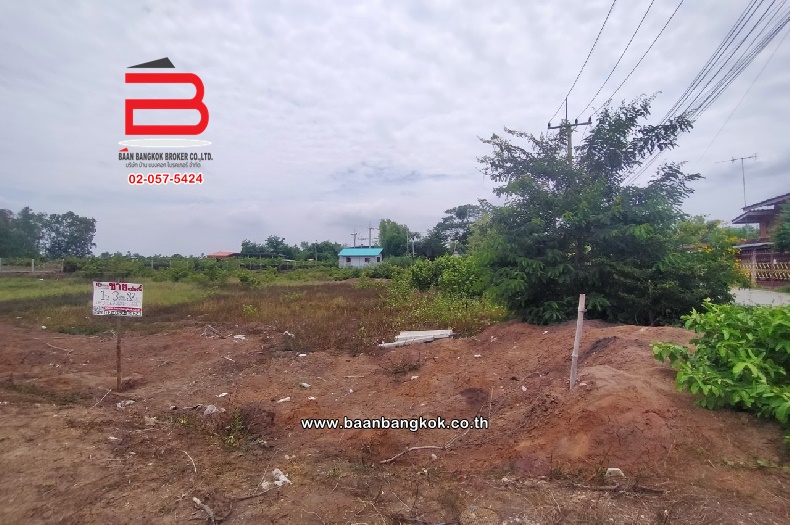 For SaleLandAyutthaya : Empty land near Rojana Industrial Estate, area 1-3-82.2 rai, Rojana Road, Wang Noi District, Phra Nakhon Si Ayutthaya Province.