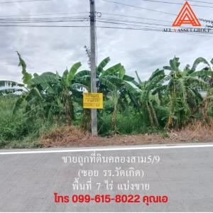 For SaleLandPathum Thani,Rangsit, Thammasat : Cheap land for sale, prime location in Khlong Sam area.