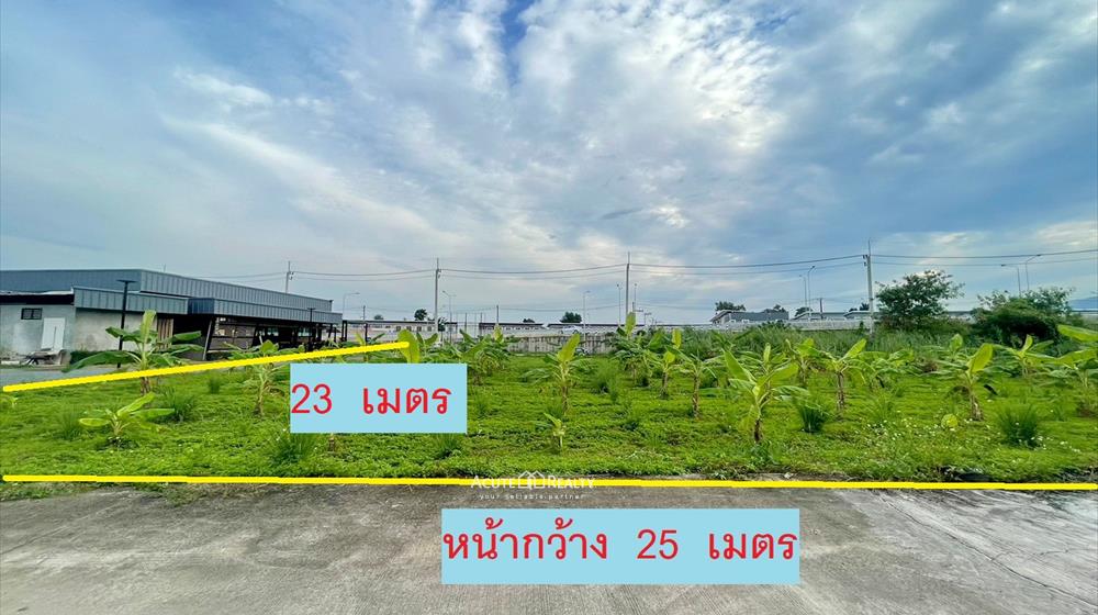 ขายที่ดินเชียงใหม่ : ขายที่ดินเปล่า ใกล้ตลาดป่าข่อยใต้ ต.สันผีเสื้อ อ.เมืองเชียงใหม่