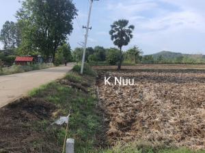 ขายที่ดินเพชรบูรณ์ : ที่ดินแปลงใหญ่ 20 ไร่ราคาเหมาะสมติดถนนพร้อมพัฒนา