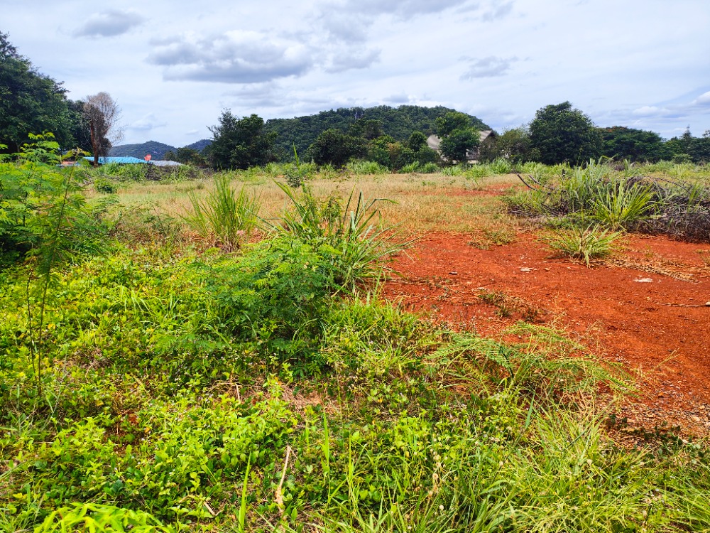 For SaleLandPak Chong KhaoYai : Empty land for sale, already filled in, only 2 kilometers from Thanarat Road, mountain view, opposite the project at Ban Khao Yai, size 3 rai, rectangular shape, price 18.8 million, interested 097 - 465 5644 T.C HOME.