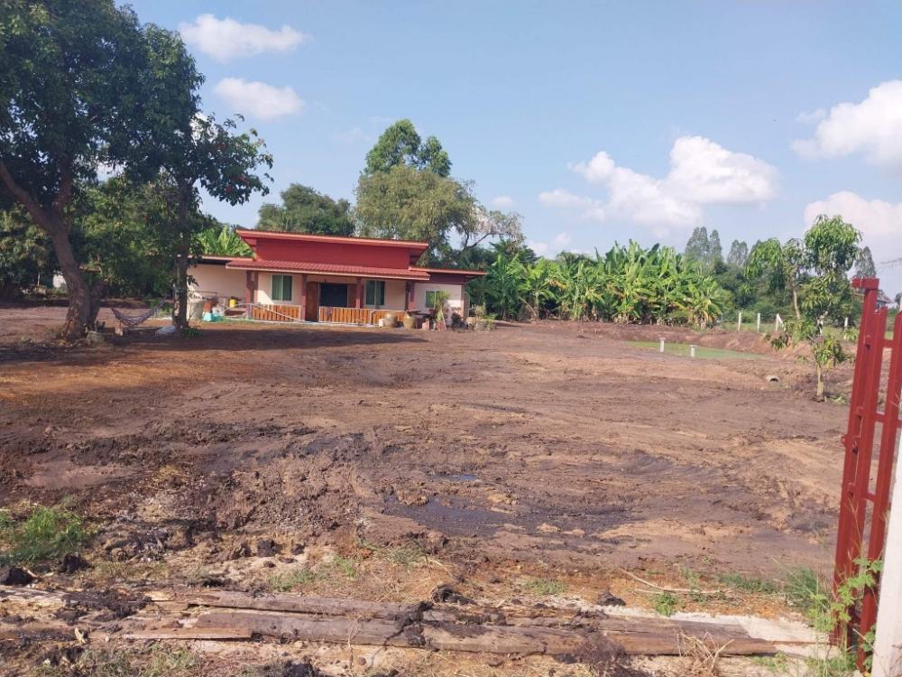ขายที่ดินชัยนาท : ขาย บ้านพร้อมที่ดิน  2ไร่     ต.หนองแซง      อ.หันคา  จ.ชัยนาท
