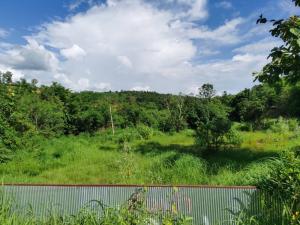 For SaleLandTak : Land for sale, 26 rai, Mae Sot District, near Wat Phra That Doi Hua Fai - near Hua Fai Reservoir.