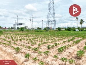 For RentLandPattaya, Bangsaen, Chonburi : Land for rent, area 19 rai 15 square wah, Sriracha, Chonburi, next to Pattaya Motorway.