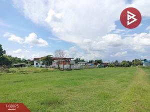 For SaleLandSurin : Urgent sale of land, area 2 rai 1 ngan 81 square wah, Kae Yai Subdistrict, Surin.