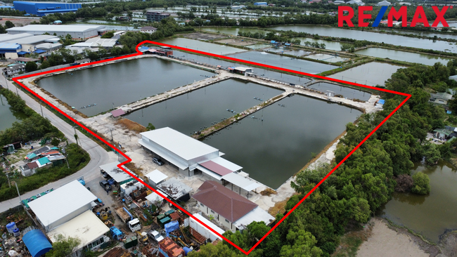 For SaleLandRathburana, Suksawat : Land for sale, Pracha Uthit 90, Phra Samut Chedi. Near Khlong Suan Temple, over 18 rai, suitable for a fishing pond business, fish farm, shrimp farm, or a cafe, resort, or food garden.