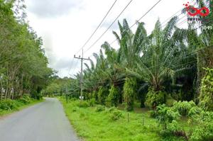 For SaleLandPhangnga : Empty land for sale, 14 rai 167 square wah, Phetkasem Road, Thai Mueang District, Phang Nga Province.