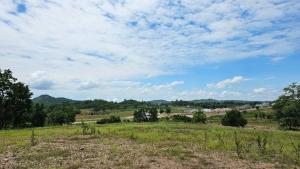 For SaleLandPak Chong KhaoYai : Land for sale in Khao Yai, Pak Chong, Nakhon Ratchasima, total area 89-2-55 rai.