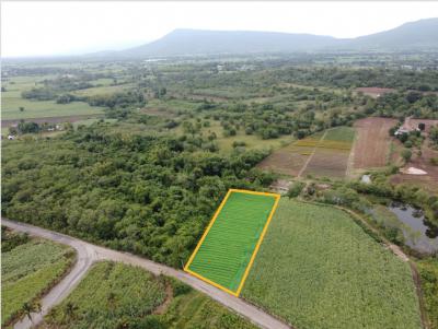 For SaleLandPak Chong KhaoYai : Land for sale in Khao Yai, Khlong Muang Subdistrict, Pak Chong District, 2 rai, next to a canal, with water flowing throughout the year.