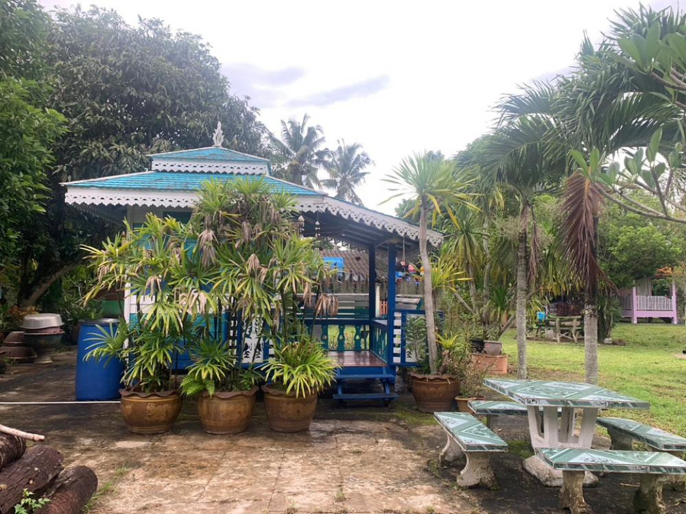 For SaleLandPhayao : Land for sale with house, garden, resort, 11 rai, over 300 fruit trees, lots of empty space.