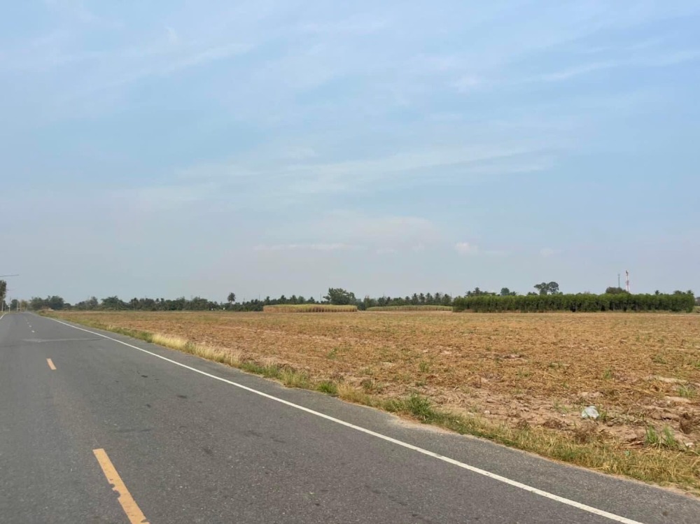For SaleLandPattaya, Bangsaen, Chonburi : Land for sale, 85 rai, Phanat Nikhom, Chonburi.
