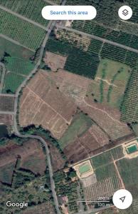 For SaleLandChiang Mai : Empty land for sale, good location, San Sai Subdistrict, Fang District, Chiang Mai Province. (Owner sells it himself)