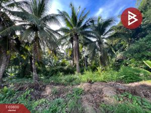 For SaleLandSamut Songkhram : Urgent sale, beautiful plot of land, 1 rai 43.2 sq m, Soi Ban Prok 18, Samut Songkhram.