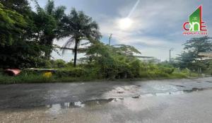 For SaleLandEakachai, Bang Bon : Empty land 3-2-74 rai, Rama 2 Road, Bang Mot Subdistrict, Chom Thong District, Bangkok.